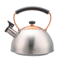 briebe Tetera Inducción Silbante 2,3L, Infusiones, Hervidor de Agua Acero Inoxidable, Retro, Todo Tipo de Cocinas, Vitrocerámica, Gas, Mango Tacto Frío, Diseño Vintage, Tea Pot, Inox/ Bronce